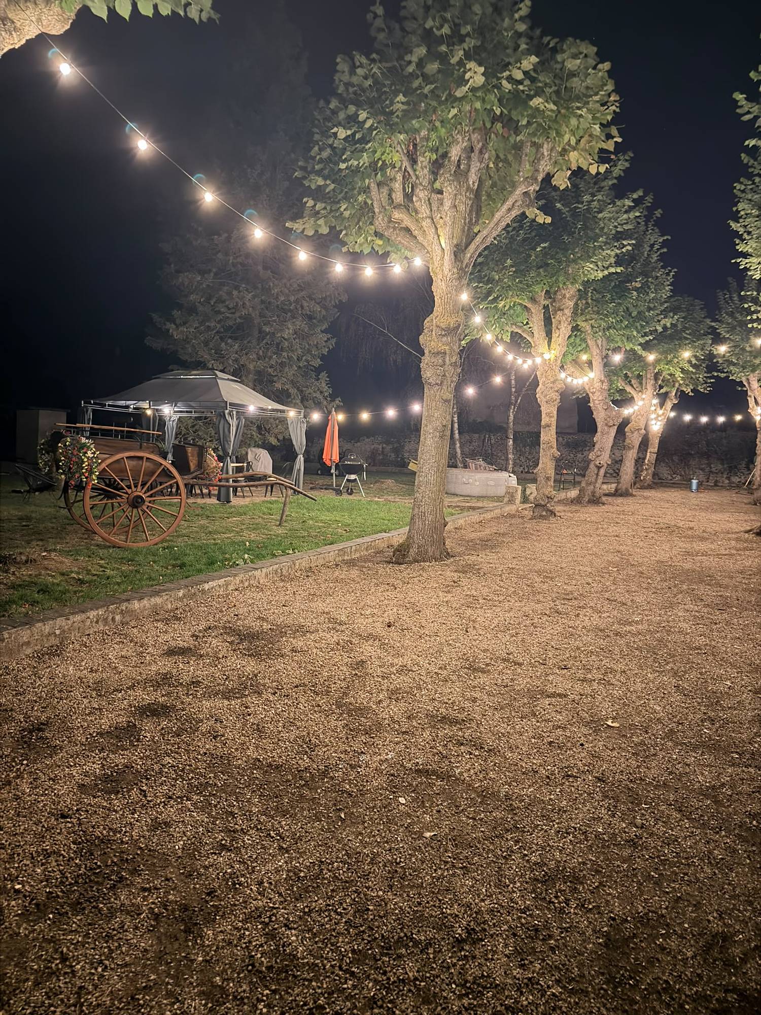 L’allée du parc sous les guirlandes lumineuses, un soir de fête au domaine